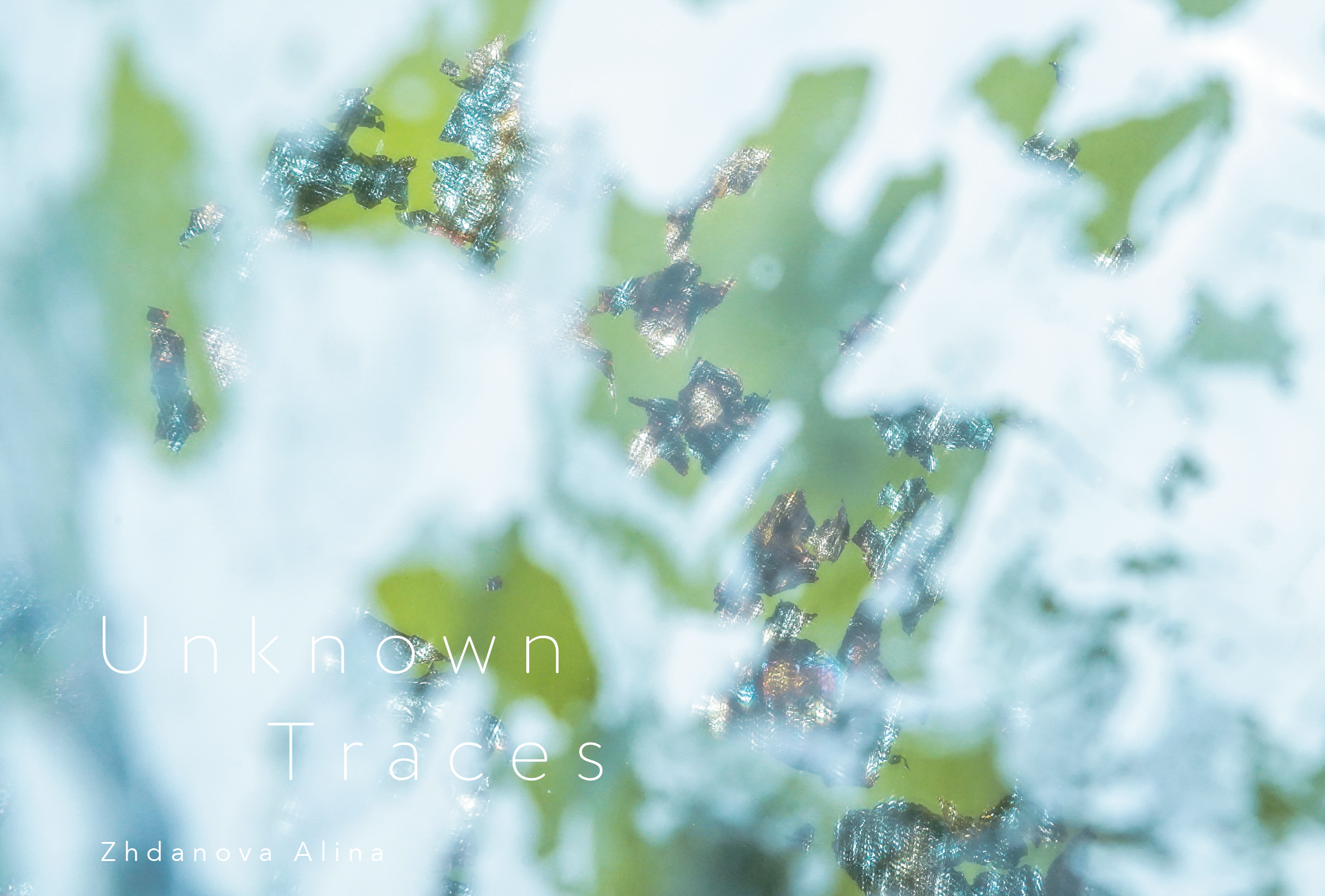 ジダーノワアリーナ